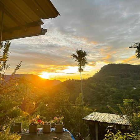 Rock View Cottage 엘라 외부 사진