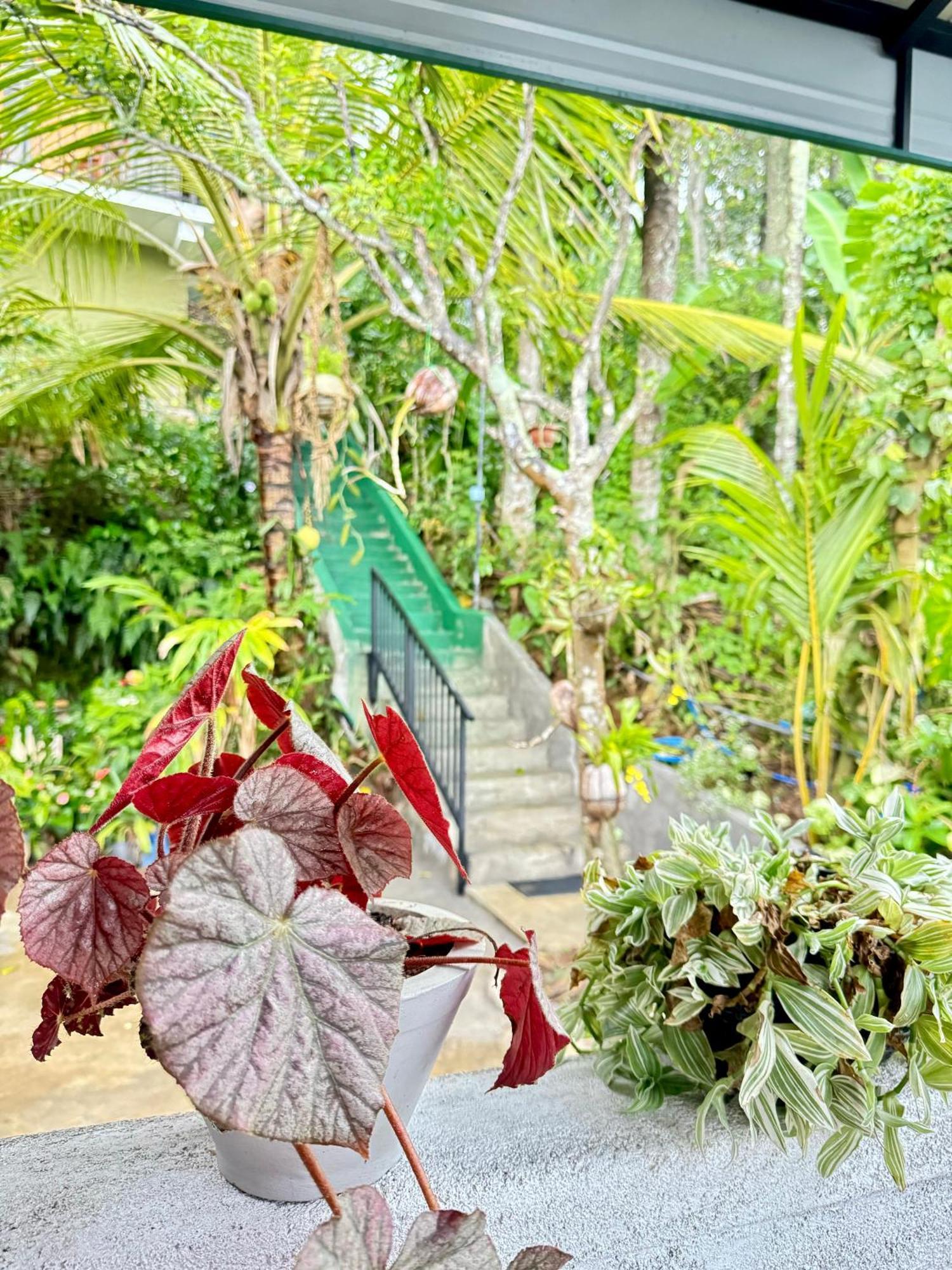 Rock View Cottage 엘라 외부 사진